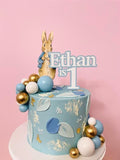 Cake Creations by Kate™ SpecialityCakes Blue Peter Rabbit Character Cake