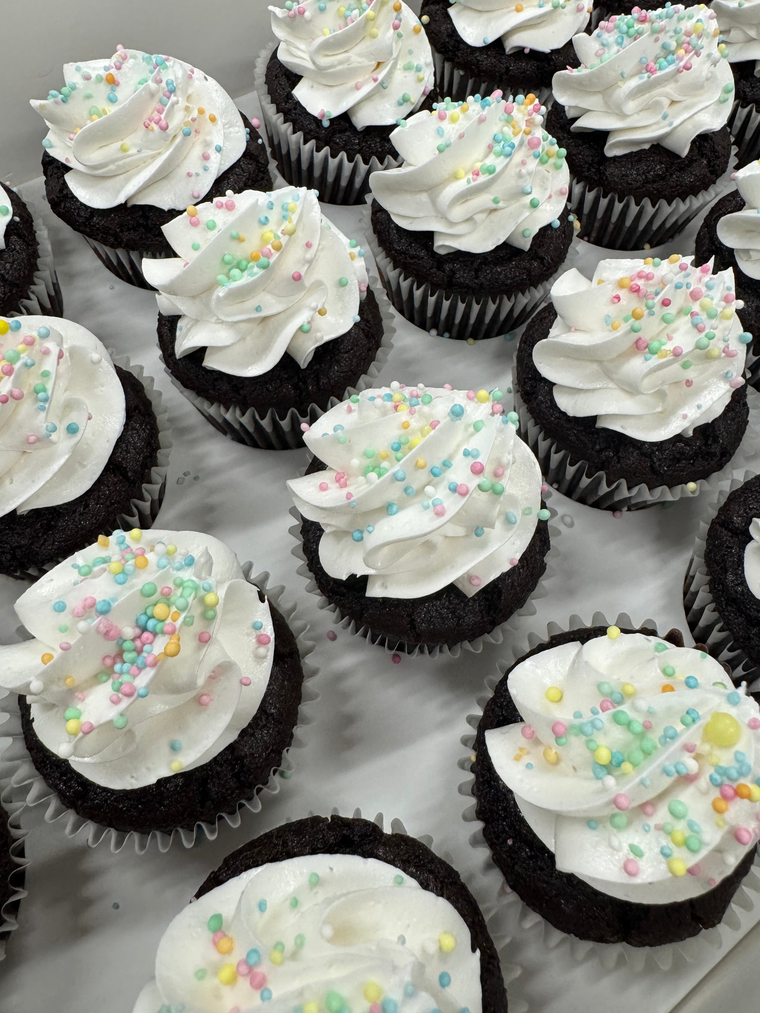 Cake Creations by Kate™ Mini Cupcakes Gluten Free & Vegan 'Chocolate Sprinkles' Mini Cupcakes