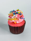 Vanilla Rainbow Mini Cupcakes