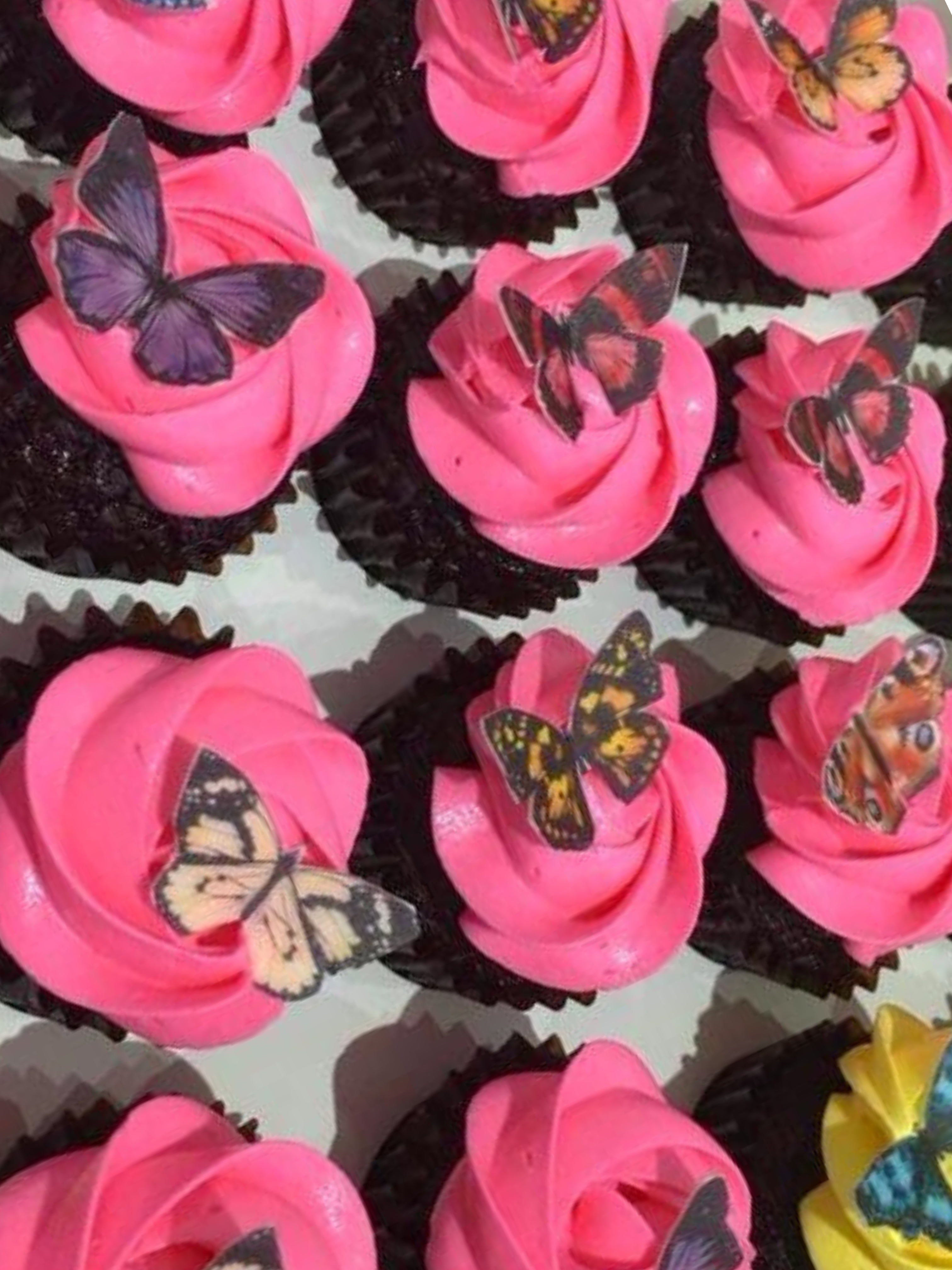 Butterfly Fantasy Mini Cupcakes