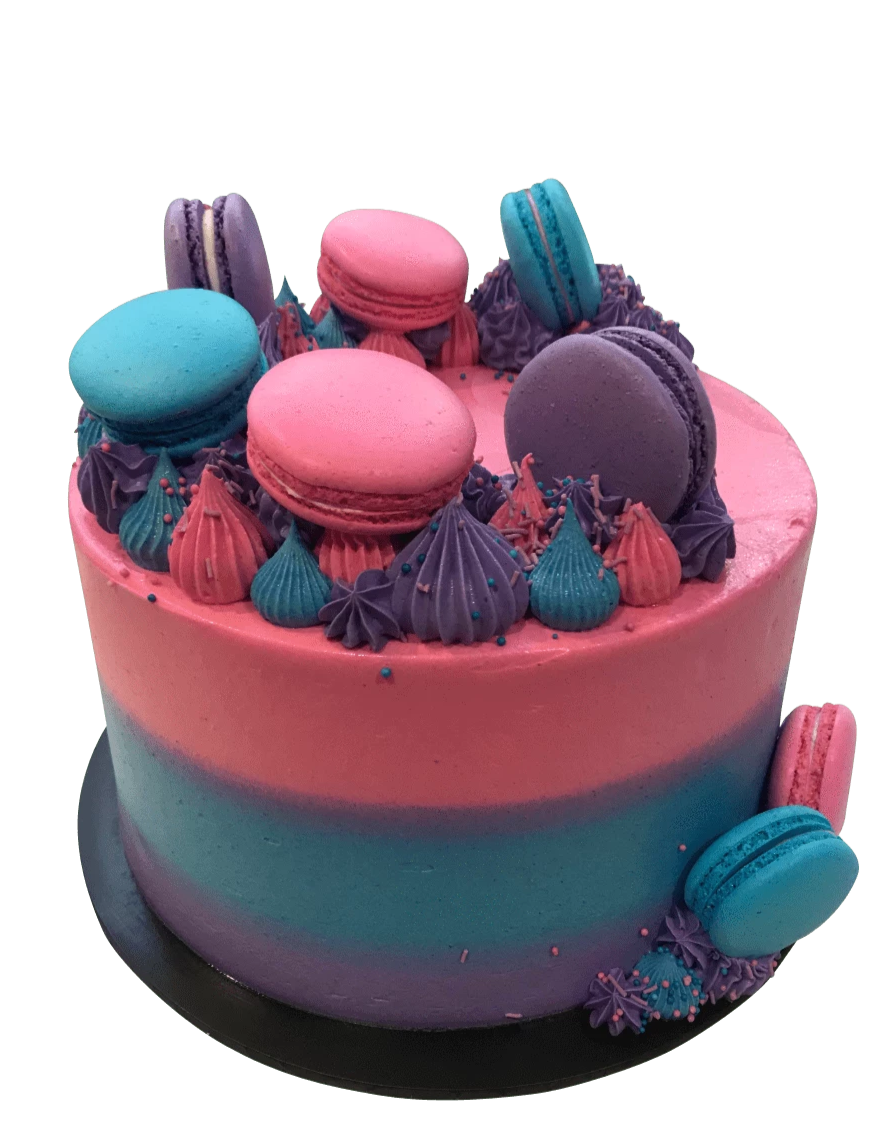 Purple, Blue and Pink Ombre Buttercream with Macarons Speciality Cake birthdays